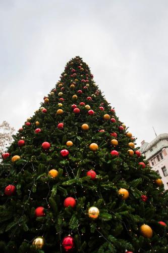 Gloria Apartment - image 2