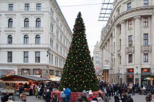 Gloria Apartment - image 3