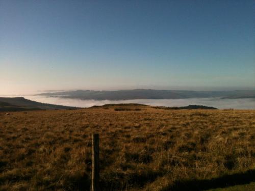 สภาพแวดล้อมโดยรอบ, Maggi’s Home from Home in ฟุลวูด