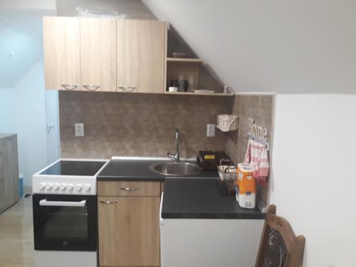 Apartman Darija in Vrdnik