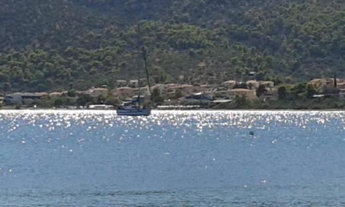  ΝΕΦΕΛΗ in Korfos