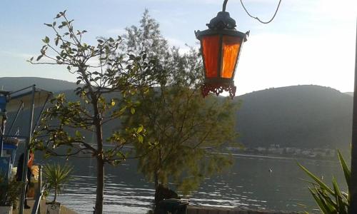  ΝΕΦΕΛΗ in Korfos