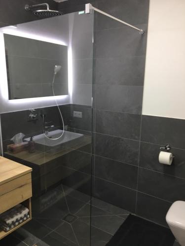 Shower, Haus Schladming in Obere Klaus
