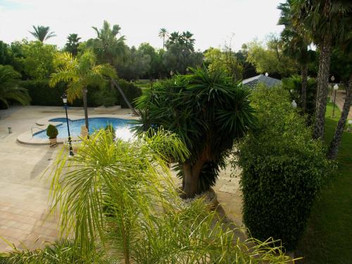  Santa Maria in Elche