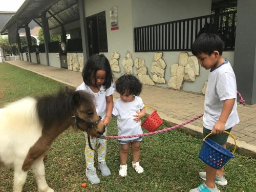 APM Equestrian Resort