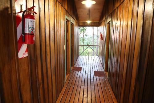 Piel de Timbó (Piel de Timbo) in Aristobulo Del Valle