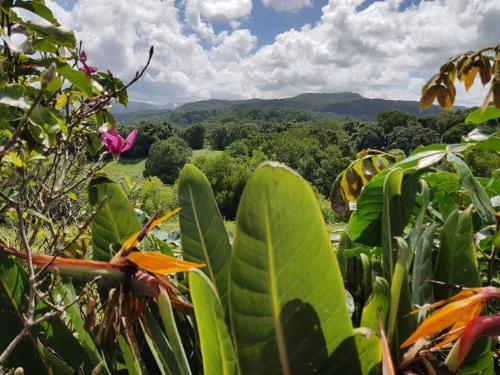 Vrt, Valleydale cottage in Canungra