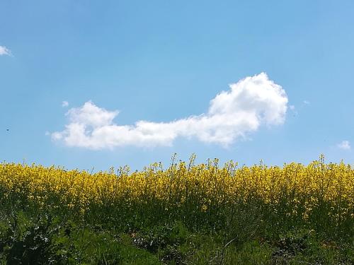 Agriturismo Il Riccio