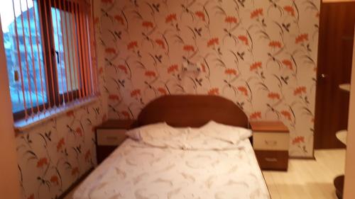 Guest House Blisten, София (фото 9)