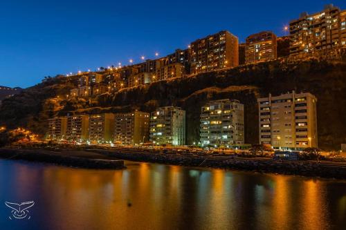 Radazul Marina Seafront 13