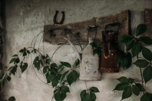 Vackorkert - image 6