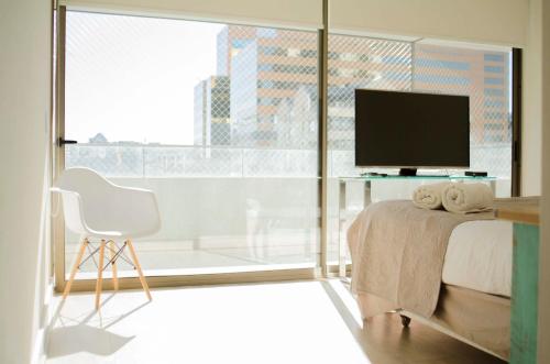 Loica Suites II