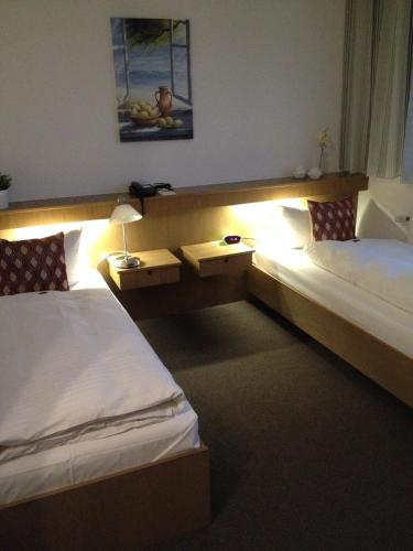Stadthotel am Bühnenhaus - image 2