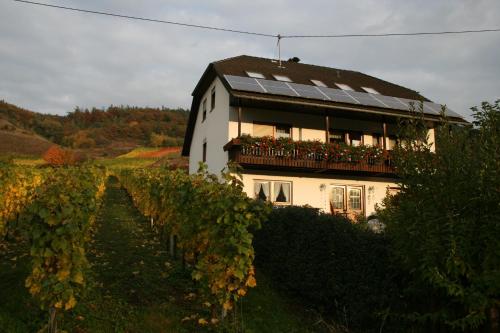 Ieeja, Weingut Hirschen Enkircherweg in Burg (Mosel)