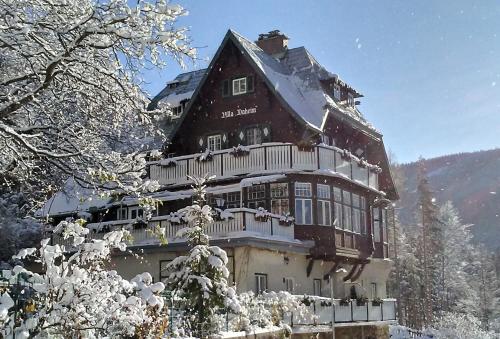  Villa Daheim Semmering, Pension in Semmering bei Spital am Semmering