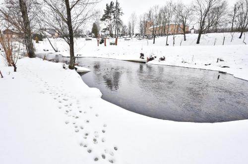 Atostogų namelis Druskininkuose