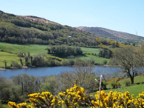 Drombrow Cottage in Tralee