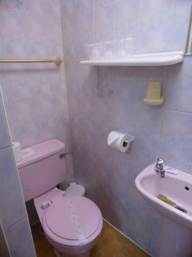 St Albans Hotel - image 3
