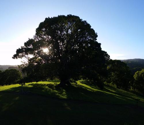 Pogled, Valleydale cottage in Canungra