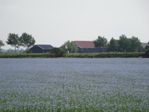 Crea-Trends Vacations - image 8
