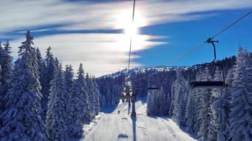 As Lux Apartmani Kopaonik - image 2