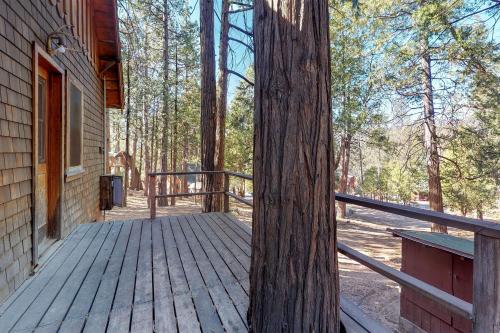 Walden in the Woods - image 5