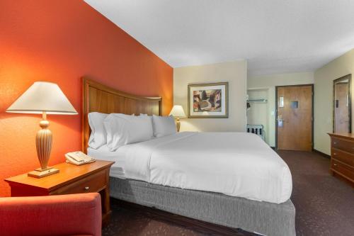 Holiday Inn Express Chicago-Downers Grove