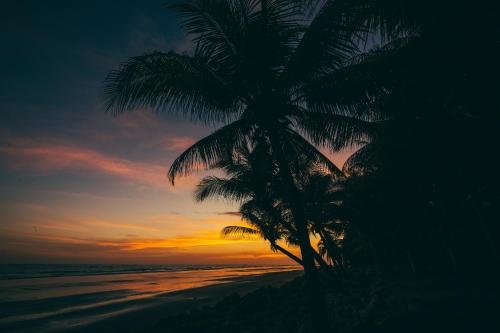 Bližnja okolica, Hostal Los Chamos in San Juan Del Sur