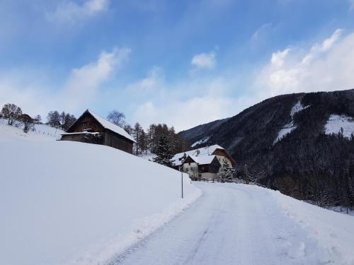 Ferienwohnung Biohof Laußnitzer in Rennweg - Hotel - Katschberg-Aineck-Rennweg