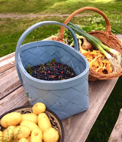 Kolin Keidas - image 14