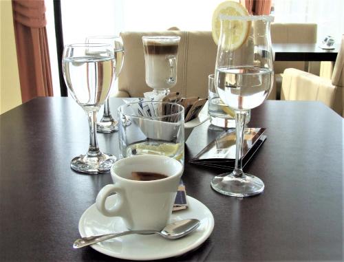 Hotel Central Slavonski Brod - image 9