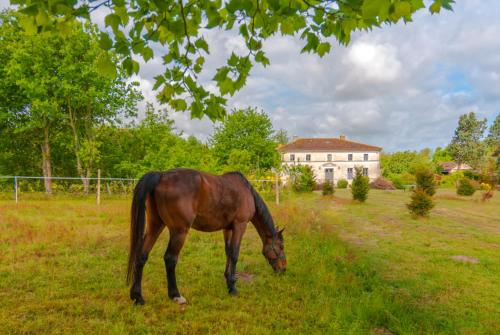 Domaine TerrOcéane - Chambre d'hôtes - La Gripperie-Saint-Symphorien