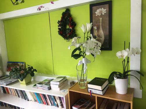 国家公园阿尔卑斯宾馆 国家公园阿尔卑斯宾馆