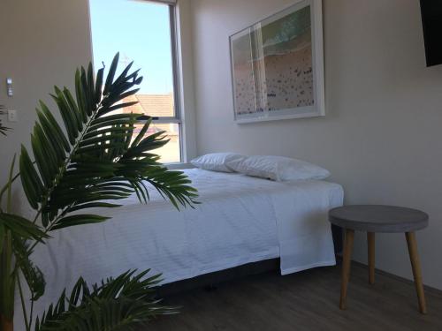 Bondi Beach Studio Penthouse Suite + Balcony - image 7