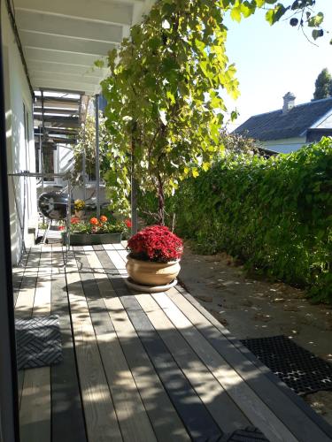 Guest House Serena in Chornomorsk