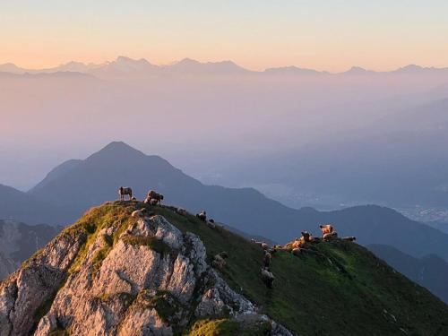 Hotel Menthof – Seefeld, IL