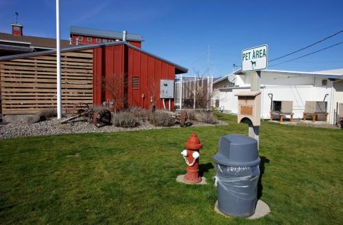 Cousin's Country Inn - image 7