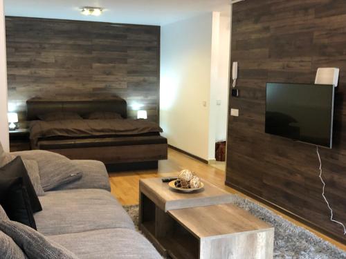 . Sinaia Apartament