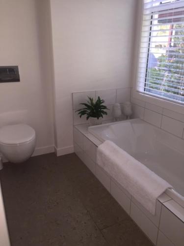 Kereru Cottage Russell - James Cook apartment