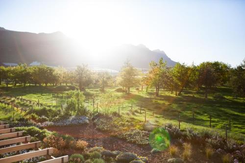 Vineyard Views Country House