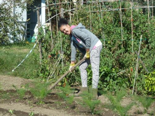  Il CASALE NELLA TUSCIA. BIOFARM. Casa nel Giardino in Viterbo