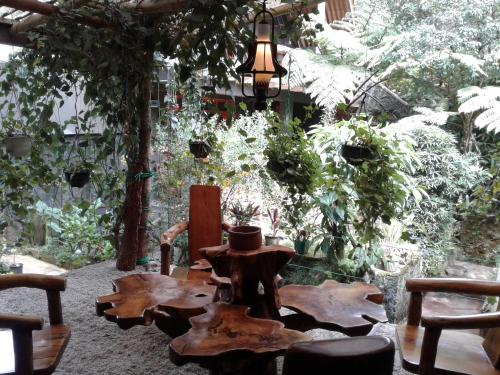 King Fern Cottage in Nuwara Eliya