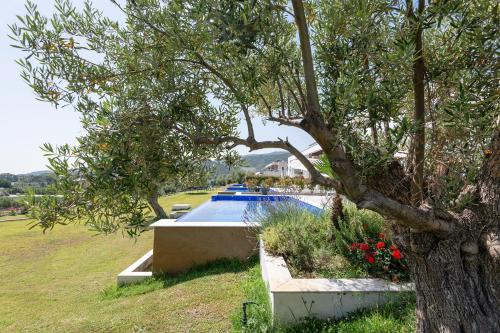 Afisia Villas