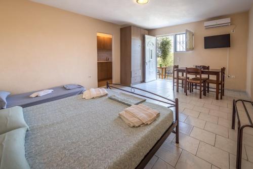 Eleni Studios, Tsilivi (fotografie 10)