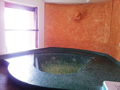 Fürdőszoba, Hotel Inn Sur near Dolores Olmedo Patiño Múzeum