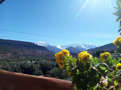 绿艾斯尼谷庭院旅馆 绿艾斯尼谷庭院旅馆