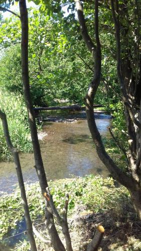 Riverbank Cottage