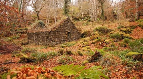 Achnacriche B&B - image 11