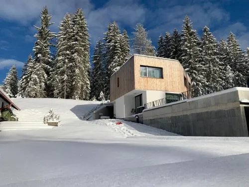 Am Waldrand Weidach in Leutasch, Österreich