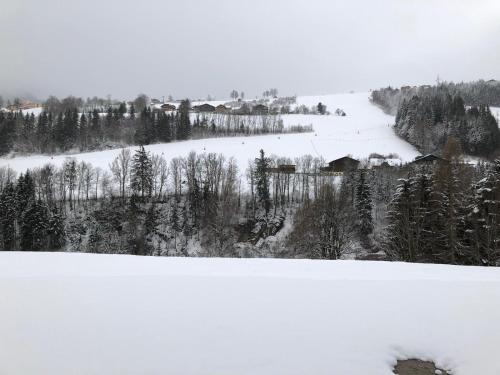 Exterior view, Haus Schladming in Obere Klaus